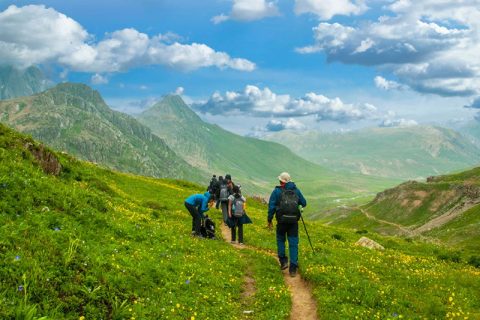 c8570601-0231-434f-8ee8-a3cc40dc7751_KGL-1